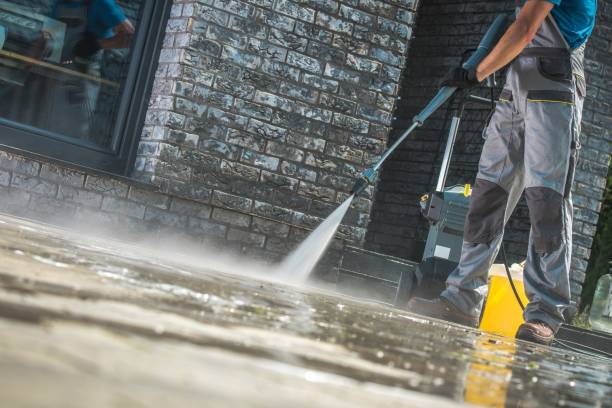 Best Roof Cleaning and Mildew Removal in White Horse, NJ